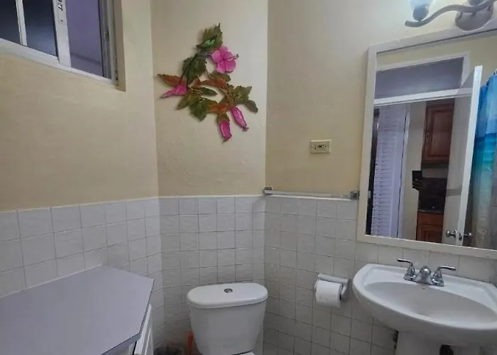 Secret Hideaway Ocean Views Access Pool Apartment *