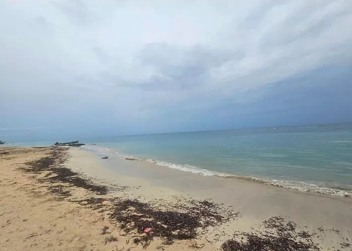 Secret Hideaway Ocean Views Access Pool Apartment